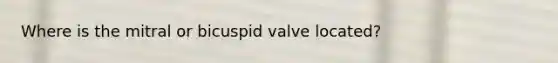 Where is the mitral or bicuspid valve located?