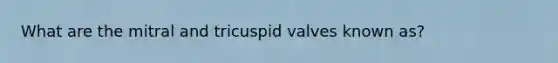 What are the mitral and tricuspid valves known as?