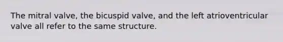 The mitral valve, the bicuspid valve, and the left atrioventricular valve all refer to the same structure.