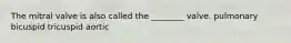 The mitral valve is also called the ________ valve. pulmonary bicuspid tricuspid aortic
