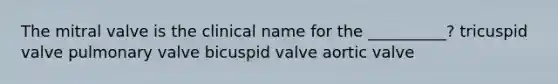 The mitral valve is the clinical name for the __________? tricuspid valve pulmonary valve bicuspid valve aortic valve