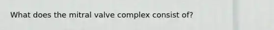 What does the mitral valve complex consist of?