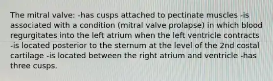 The mitral valve: -has cusps attached to pectinate muscles -is associated with a condition (mitral valve prolapse) in which blood regurgitates into the left atrium when the left ventricle contracts -is located posterior to the sternum at the level of the 2nd costal cartilage -is located between the right atrium and ventricle -has three cusps.