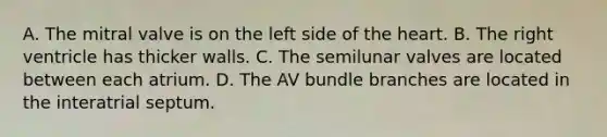 A. The mitral valve is on the left side of the heart. B. The right ventricle has thicker walls. C. The semilunar valves are located between each atrium. D. The AV bundle branches are located in the interatrial septum.