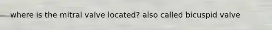 where is the mitral valve located? also called bicuspid valve