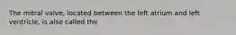 The mitral valve, located between the left atrium and left ventricle, is also called the