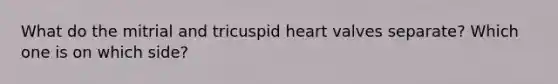 What do the mitrial and tricuspid heart valves separate? Which one is on which side?