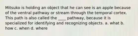 Mitsuko is holding an object that he can see is an apple because of the ventral pathway or stream through the temporal cortex. This path is also called the ____ pathway, because it is specialized for identifying and recognizing objects. a. what b. how c. when d. where