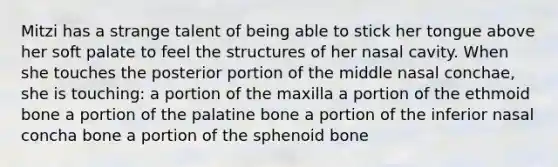 Mitzi has a strange talent of being able to stick her tongue above her soft palate to feel the structures of her nasal cavity. When she touches the posterior portion of the middle nasal conchae, she is touching: a portion of the maxilla a portion of the ethmoid bone a portion of the palatine bone a portion of the inferior nasal concha bone a portion of the sphenoid bone