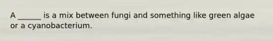A ______ is a mix between fungi and something like green algae or a cyanobacterium.