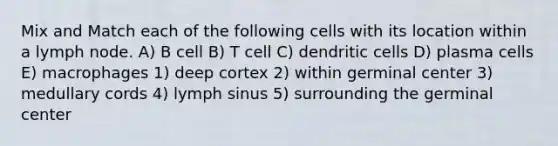 Mix and Match each of the following cells with its location within a lymph node. A) B cell B) T cell C) dendritic cells D) plasma cells E) macrophages 1) deep cortex 2) within germinal center 3) medullary cords 4) lymph sinus 5) surrounding the germinal center