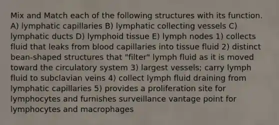 Mix and Match each of the following structures with its function. A) lymphatic capillaries B) lymphatic collecting vessels C) lymphatic ducts D) lymphoid tissue E) lymph nodes 1) collects fluid that leaks from blood capillaries into tissue fluid 2) distinct bean-shaped structures that "filter" lymph fluid as it is moved toward the circulatory system 3) largest vessels; carry lymph fluid to subclavian veins 4) collect lymph fluid draining from lymphatic capillaries 5) provides a proliferation site for lymphocytes and furnishes surveillance vantage point for lymphocytes and macrophages