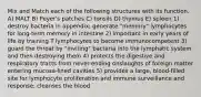 Mix and Match each of the following structures with its function. A) MALT B) Peyer's patches C) tonsils D) thymus E) spleen 1) destroy bacteria in appendix; generate "memory" lymphocytes for long-term memory in intestine 2) important in early years of life by training T lymphocytes to become immunocompetent 3) guard the throat by "inviting" bacteria into the lymphatic system and then destroying them 4) protects the digestive and respiratory tracts from never-ending onslaughts of foreign matter entering mucosa-lined cavities 5) provides a large, blood-filled site for lymphocyte proliferation and immune surveillance and response; cleanses the blood