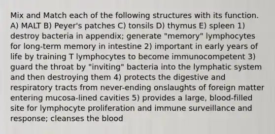 Mix and Match each of the following structures with its function. A) MALT B) Peyer's patches C) tonsils D) thymus E) spleen 1) destroy bacteria in appendix; generate "memory" lymphocytes for long-term memory in intestine 2) important in early years of life by training T lymphocytes to become immunocompetent 3) guard the throat by "inviting" bacteria into the lymphatic system and then destroying them 4) protects the digestive and respiratory tracts from never-ending onslaughts of foreign matter entering mucosa-lined cavities 5) provides a large, blood-filled site for lymphocyte proliferation and immune surveillance and response; cleanses the blood