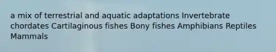 a mix of terrestrial and aquatic adaptations Invertebrate chordates Cartilaginous fishes Bony fishes Amphibians Reptiles Mammals