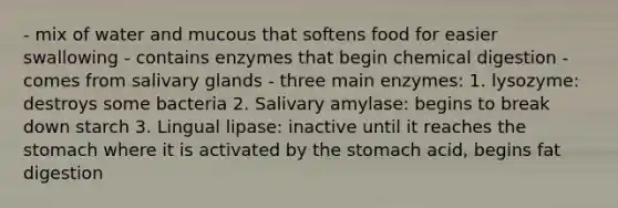 - mix of water and mucous that softens food for easier swallowing - contains enzymes that begin chemical digestion - comes from salivary glands - three main enzymes: 1. lysozyme: destroys some bacteria 2. Salivary amylase: begins to break down starch 3. Lingual lipase: inactive until it reaches the stomach where it is activated by the stomach acid, begins fat digestion