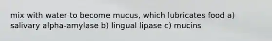 mix with water to become mucus, which lubricates food a) salivary alpha-amylase b) lingual lipase c) mucins