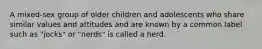 A mixed-sex group of older children and adolescents who share similar values and attitudes and are known by a common label such as "jocks" or "nerds" is called a herd.