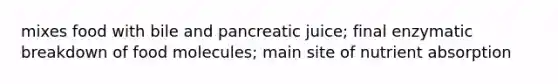 mixes food with bile and pancreatic juice; final enzymatic breakdown of food molecules; main site of nutrient absorption