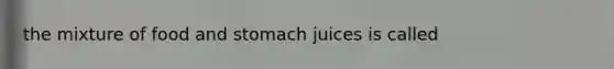 the mixture of food and stomach juices is called