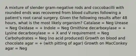 A mixture of slender gram-negative rods and coccobacilli with rounded ends was recovered from blood cultures following a patient's root canal surgery. Given the following results after 48 hours, what is the most likely organism? Catalase = Neg Urease = Neg Oxidase = + Indole = Neg Ornithine decarboxylase = + Lysine decarboxylase = + X and V requirement = Neg Carbohydrates = Neg (no acid produced) Growth on blood and chocolate agar = + (with pitting of agar) Growth on MacConkey agar = Neg