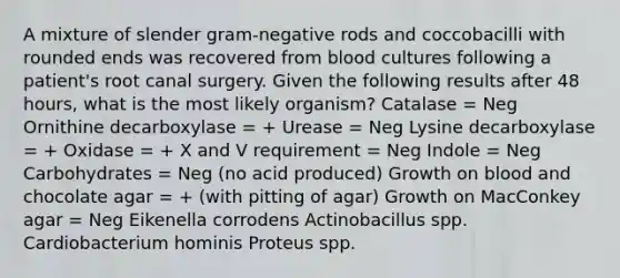 A mixture of slender gram-negative rods and coccobacilli with rounded ends was recovered from blood cultures following a patient's root canal surgery. Given the following results after 48 hours, what is the most likely organism? Catalase = Neg Ornithine decarboxylase = + Urease = Neg Lysine decarboxylase = + Oxidase = + X and V requirement = Neg Indole = Neg Carbohydrates = Neg (no acid produced) Growth on blood and chocolate agar = + (with pitting of agar) Growth on MacConkey agar = Neg Eikenella corrodens Actinobacillus spp. Cardiobacterium hominis Proteus spp.