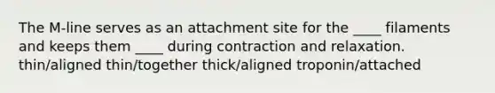 The M-line serves as an attachment site for the ____ filaments and keeps them ____ during contraction and relaxation. thin/aligned thin/together thick/aligned troponin/attached