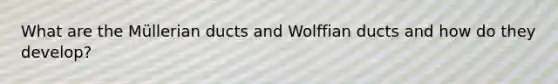 What are the Müllerian ducts and Wolffian ducts and how do they develop?