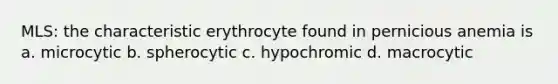 MLS: the characteristic erythrocyte found in pernicious anemia is a. microcytic b. spherocytic c. hypochromic d. macrocytic