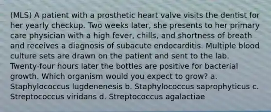 (MLS) A patient with a prosthetic heart valve visits the dentist for her yearly checkup. Two weeks later, she presents to her primary care physician with a high fever, chills, and shortness of breath and receives a diagnosis of subacute endocarditis. Multiple blood culture sets are drawn on the patient and sent to the lab. Twenty-four hours later the bottles are positive for bacterial growth. Which organism would you expect to grow? a. Staphylococcus lugdenenesis b. Staphylococcus saprophyticus c. Streptococcus viridans d. Streptococcus agalactiae