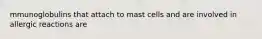 mmunoglobulins that attach to mast cells and are involved in allergic reactions are