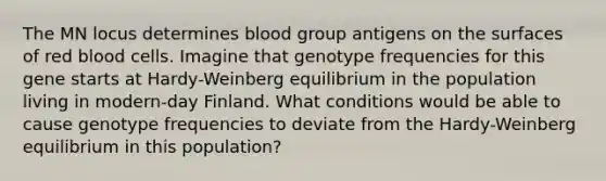 The MN locus determines blood group antigens on the surfaces of red blood cells. Imagine that genotype frequencies for this gene starts at Hardy-Weinberg equilibrium in the population living in modern-day Finland. What conditions would be able to cause genotype frequencies to deviate from the Hardy-Weinberg equilibrium in this population?