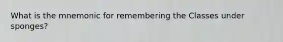 What is the mnemonic for remembering the Classes under sponges?