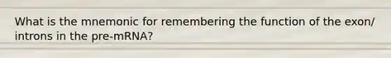 What is the mnemonic for remembering the function of the exon/ introns in the pre-mRNA?