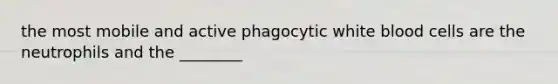 the most mobile and active phagocytic white blood cells are the neutrophils and the ________