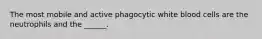 The most mobile and active phagocytic white blood cells are the neutrophils and the ______.