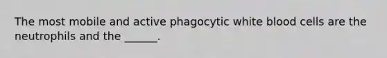 The most mobile and active phagocytic white blood cells are the neutrophils and the ______.