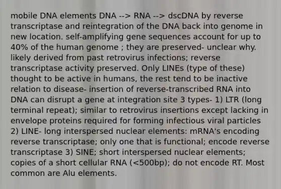 mobile DNA elements DNA --> RNA --> dscDNA by reverse transcriptase and reintegration of the DNA back into genome in new location. self-amplifying gene sequences account for up to 40% of the human genome ; they are preserved- unclear why. likely derived from past retrovirus infections; reverse transcriptase activity preserved. Only LINEs (type of these) thought to be active in humans, the rest tend to be inactive relation to disease- insertion of reverse-transcribed RNA into DNA can disrupt a gene at integration site 3 types- 1) LTR (long terminal repeat); similar to retrovirus insertions except lacking in envelope proteins required for forming infectious viral particles 2) LINE- long interspersed nuclear elements: mRNA's encoding reverse transcriptase; only one that is functional; encode reverse transcriptase 3) SINE; short interspersed nuclear elements; copies of a short cellular RNA (<500bp); do not encode RT. Most common are Alu elements.