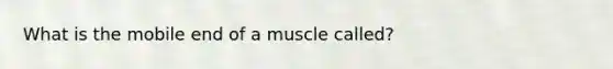 What is the mobile end of a muscle called?