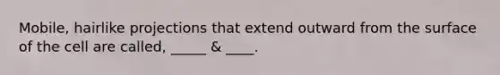 Mobile, hairlike projections that extend outward from the surface of the cell are called, _____ & ____.