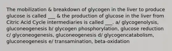 The mobilization & breakdown of glycogen in the liver to produce glucose is called ___ & the production of glucose in the liver from Citric Acid Cycle intermediaries is called ___. a/ glycogenolysis, gluconeogenesis b/ glycogen phosphorylation, glucose reduction c/ glyconeogenesis, gluconeogenesis d/ glycogencatabolism, gluconeogenesis e/ transamination, beta-oxidation