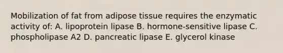 Mobilization of fat from adipose tissue requires the enzymatic activity of: A. lipoprotein lipase B. hormone-sensitive lipase C. phospholipase A2 D. pancreatic lipase E. glycerol kinase