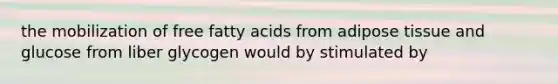 the mobilization of free fatty acids from adipose tissue and glucose from liber glycogen would by stimulated by