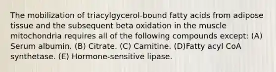 The mobilization of triacylgycerol-bound fatty acids from adipose tissue and the subsequent beta oxidation in the muscle mitochondria requires all of the following compounds except: (A) Serum albumin. (B) Citrate. (C) Carnitine. (D)Fatty acyl CoA synthetase. (E) Hormone-sensitive lipase.