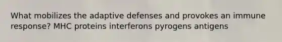 What mobilizes the adaptive defenses and provokes an immune response? MHC proteins interferons pyrogens antigens