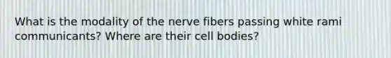 What is the modality of the nerve fibers passing white rami communicants? Where are their cell bodies?