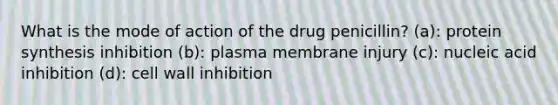 What is the mode of action of the drug penicillin? (a): protein synthesis inhibition (b): plasma membrane injury (c): nucleic acid inhibition (d): cell wall inhibition