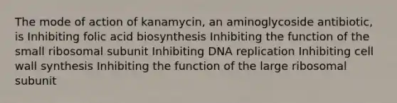 The mode of action of kanamycin, an aminoglycoside antibiotic, is Inhibiting folic acid biosynthesis Inhibiting the function of the small ribosomal subunit Inhibiting <a href='https://www.questionai.com/knowledge/kofV2VQU2J-dna-replication' class='anchor-knowledge'>dna replication</a> Inhibiting cell wall synthesis Inhibiting the function of the large ribosomal subunit