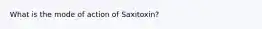 What is the mode of action of Saxitoxin?