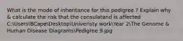 What is the mode of inheritance for this pedigree ? Explain why & calculate the risk that the consulatand is affected C:UsersBCapeDesktopUniveristy workYear 2The Genome & Human Disease DiagramsPedigree 9.jpg